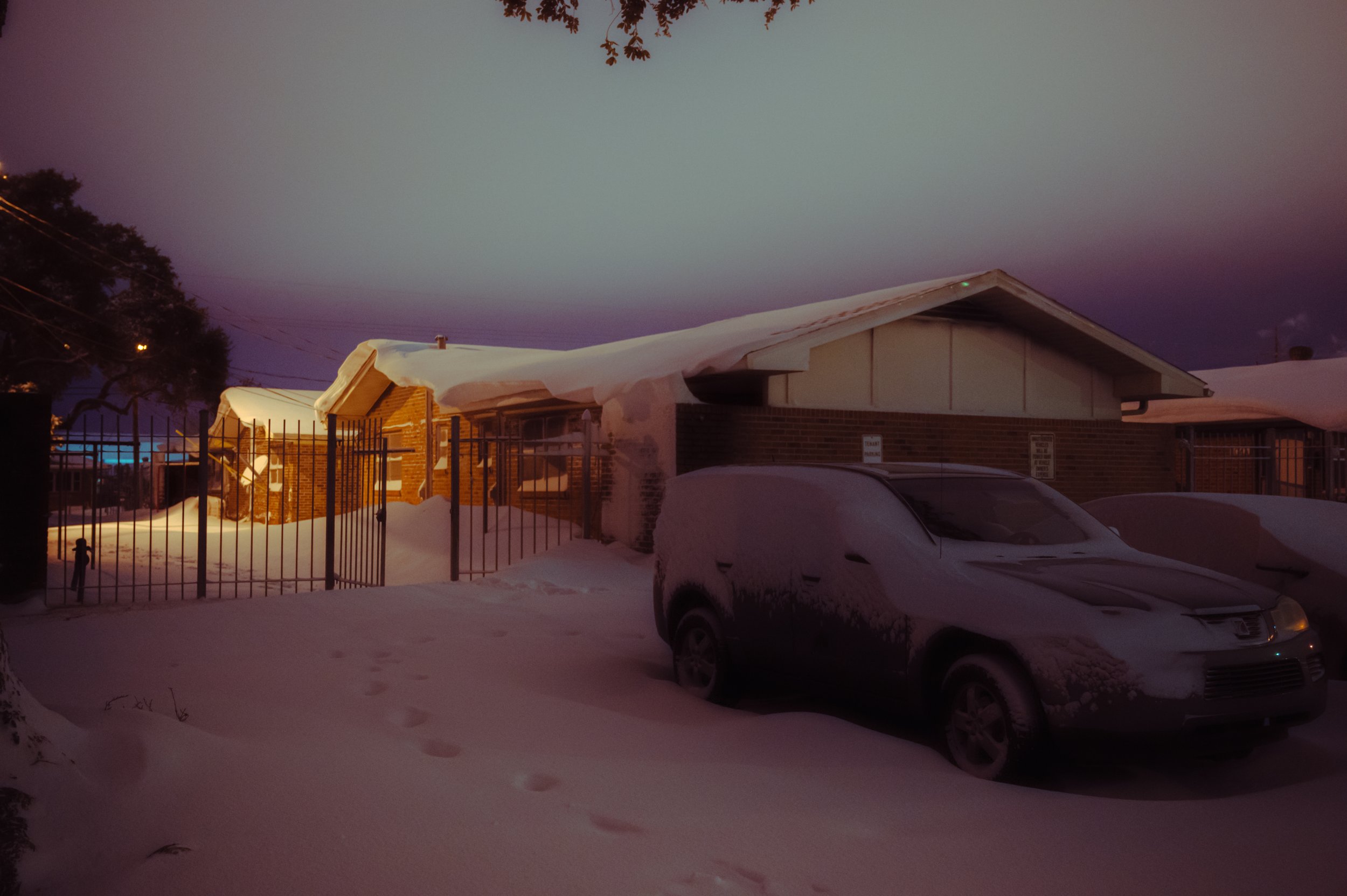 snowday1_21_25-20.jpg
