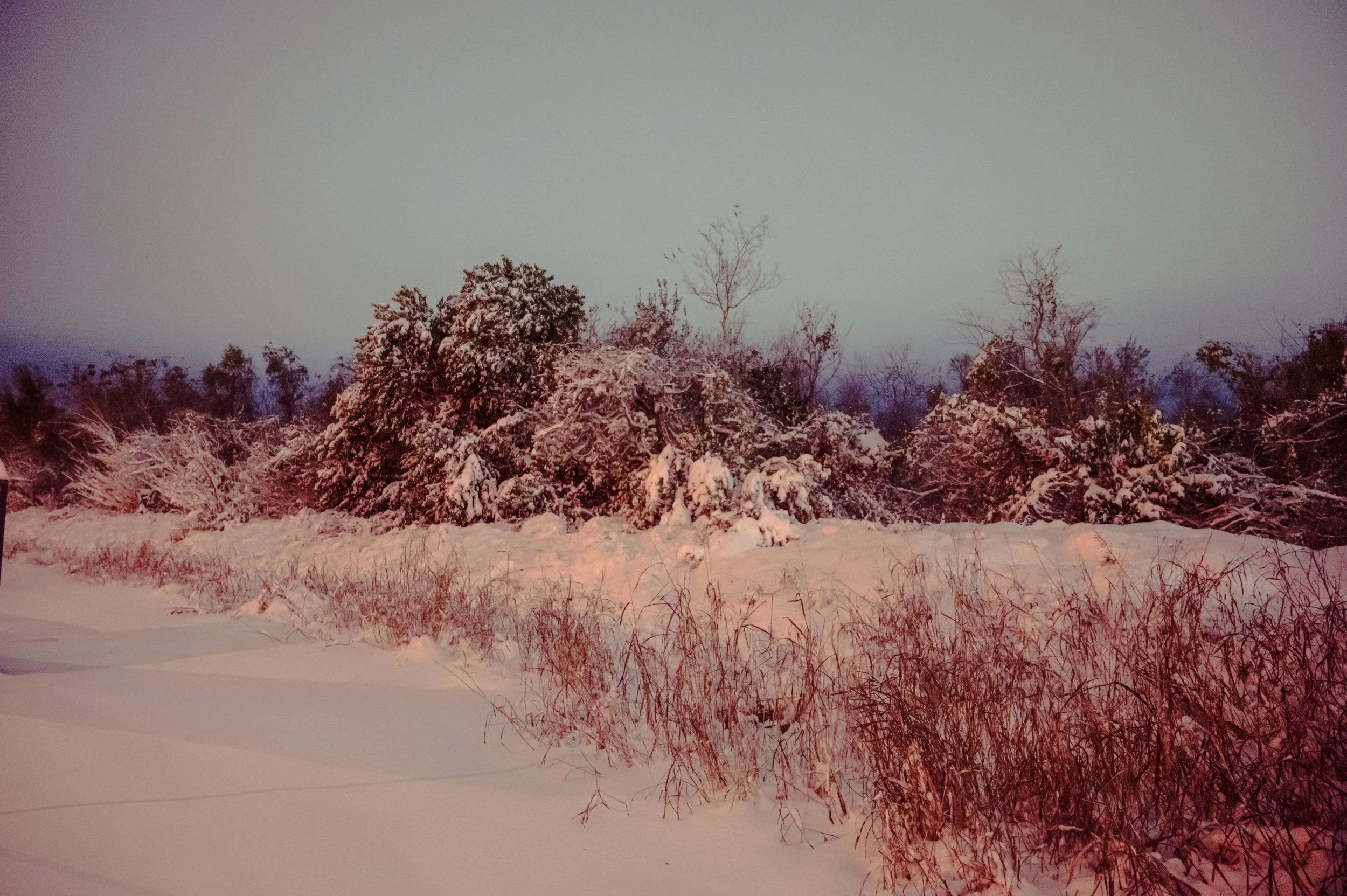 snowday1_21_25-28.jpg