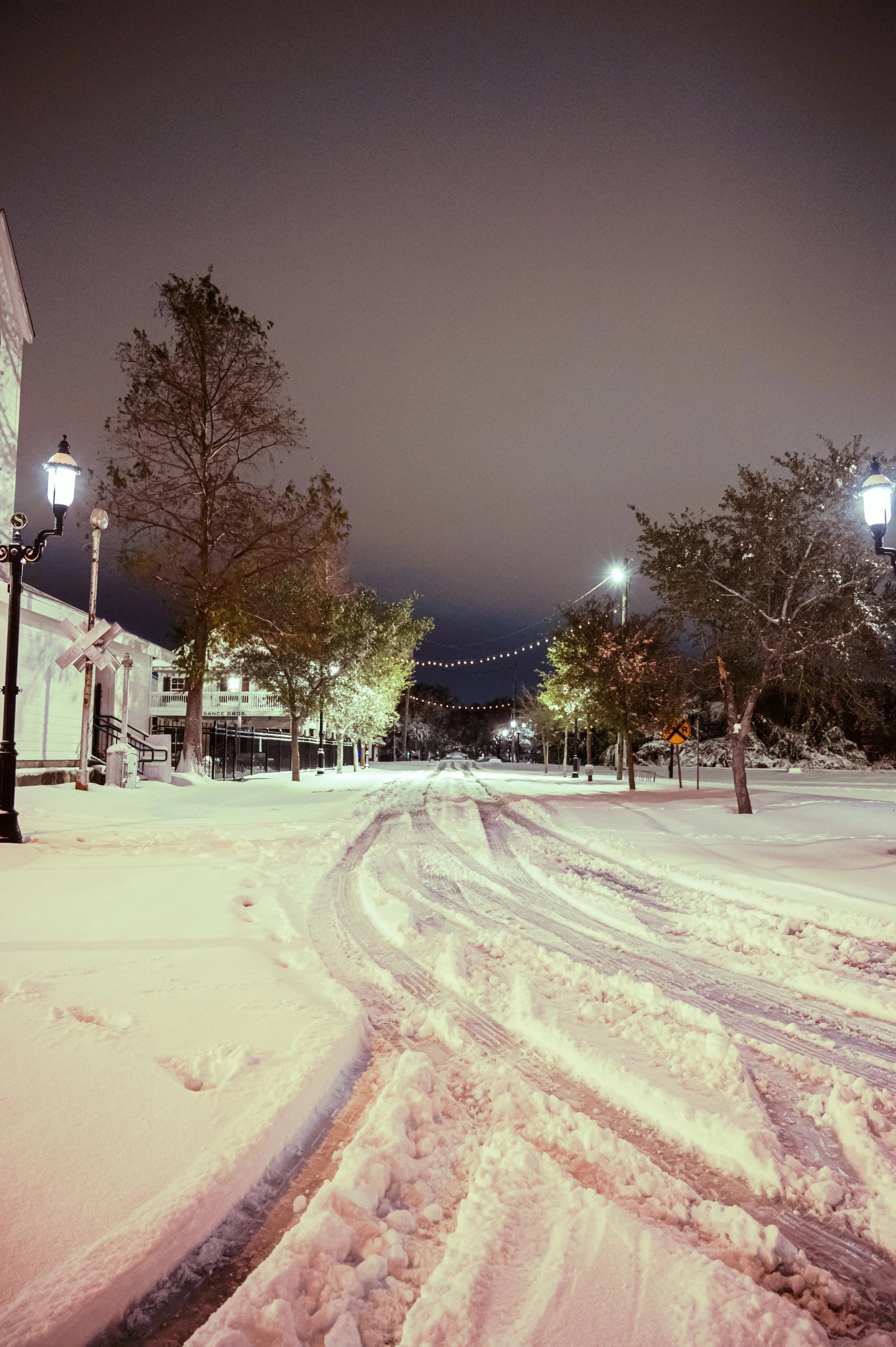 snowday1_21_25-30.jpg
