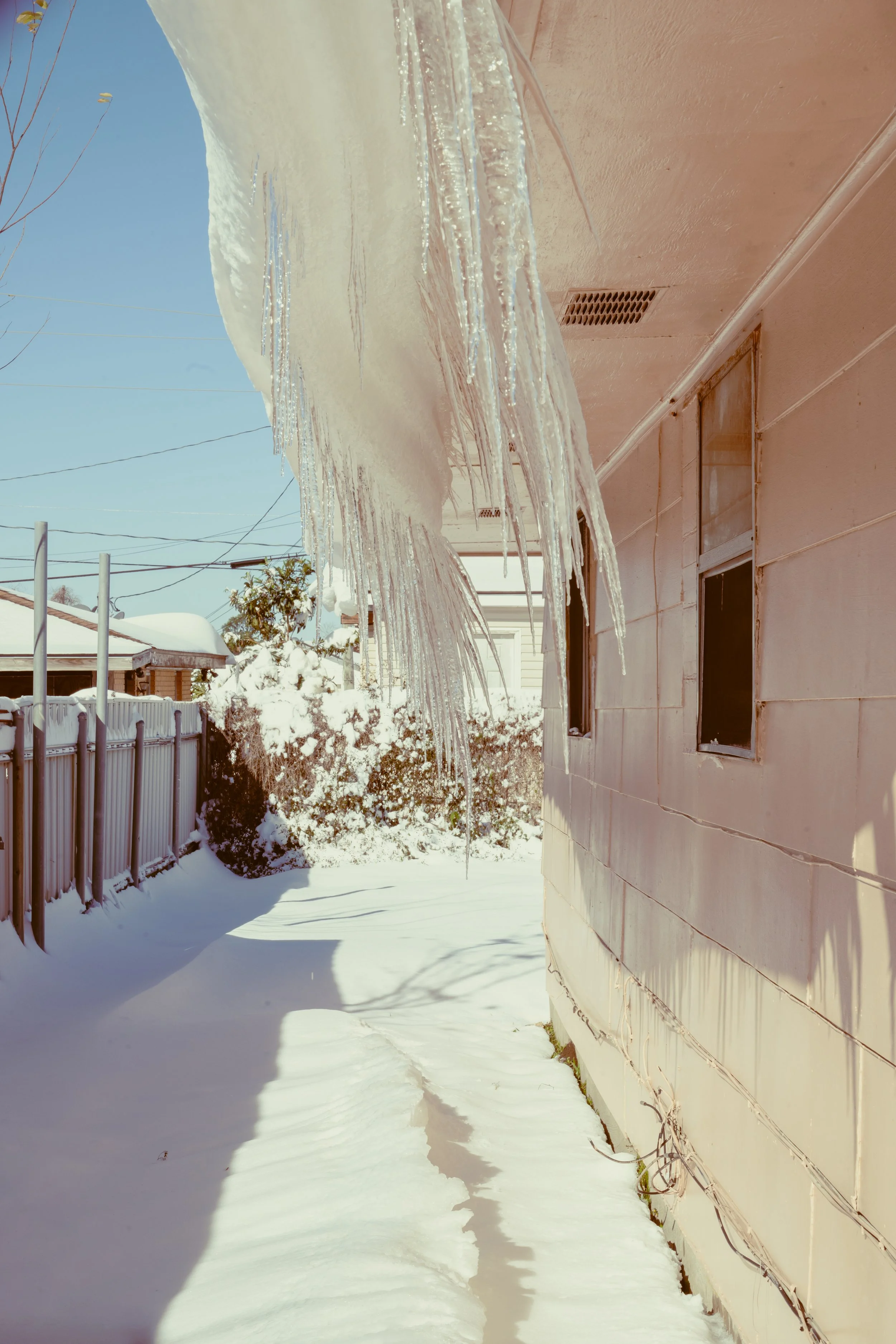 snowday1_22_25-5.jpg