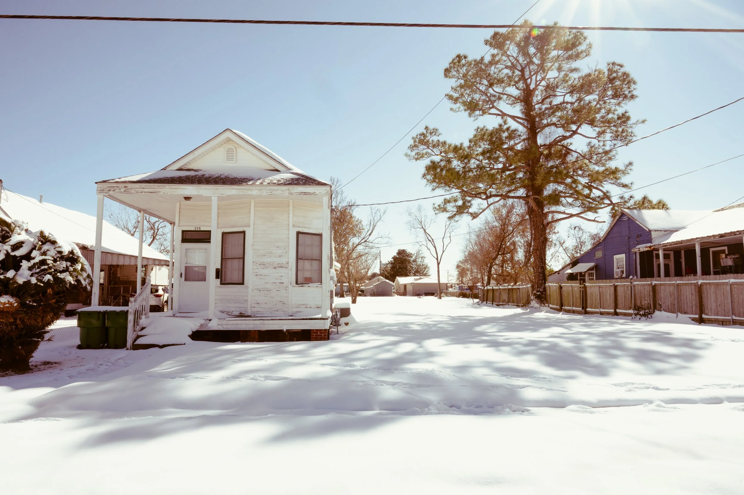 snowday1_22_25-8.jpg