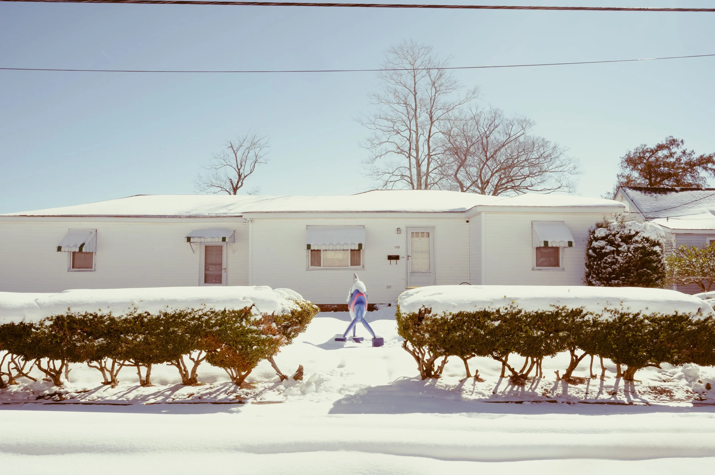 snowday1_22_25-9.jpg