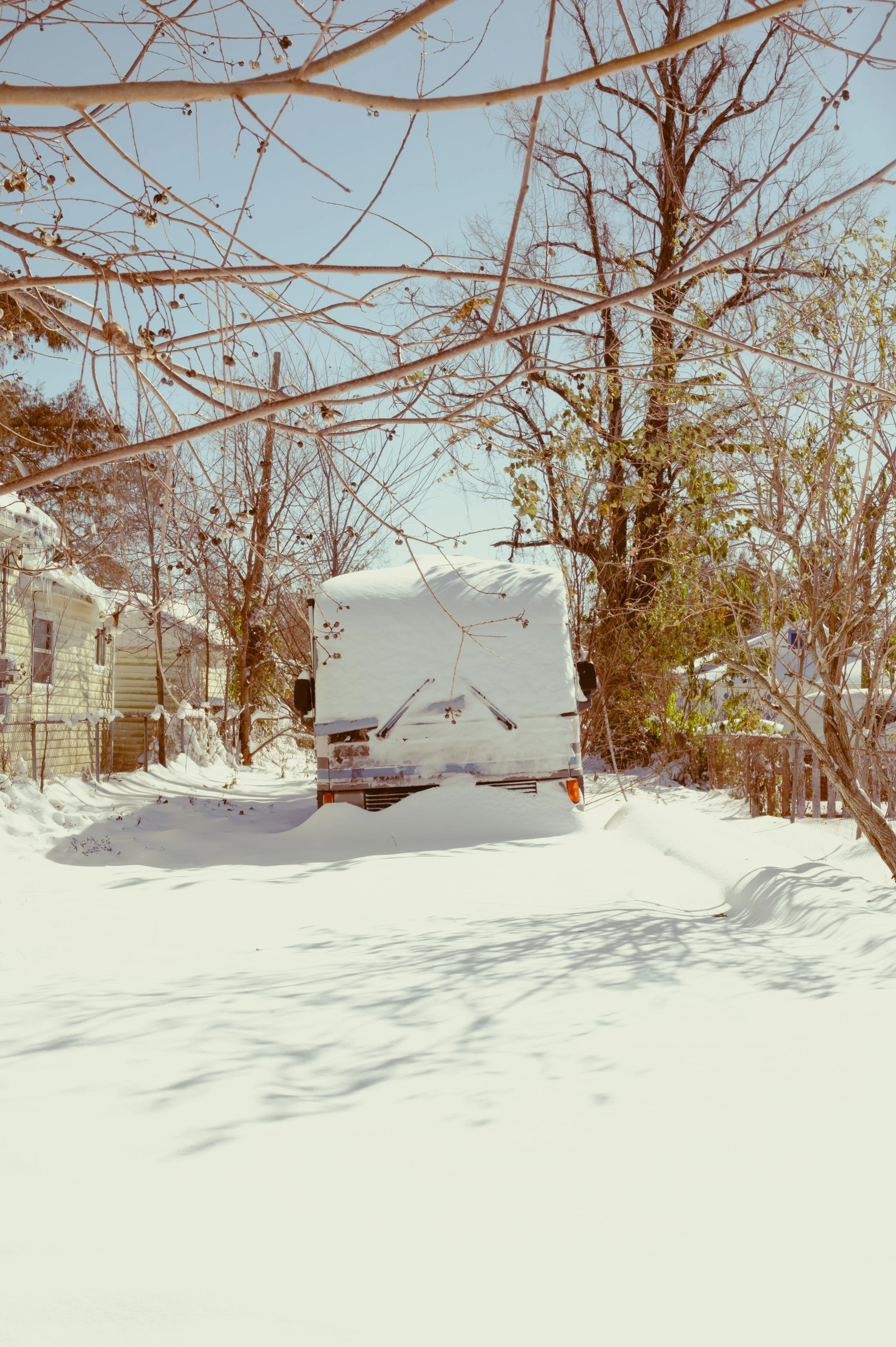 snowday1_22_25-12.jpg