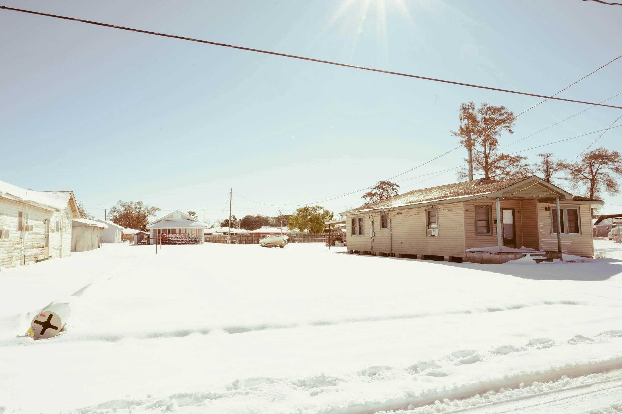 snowday1_22_25-14.jpg