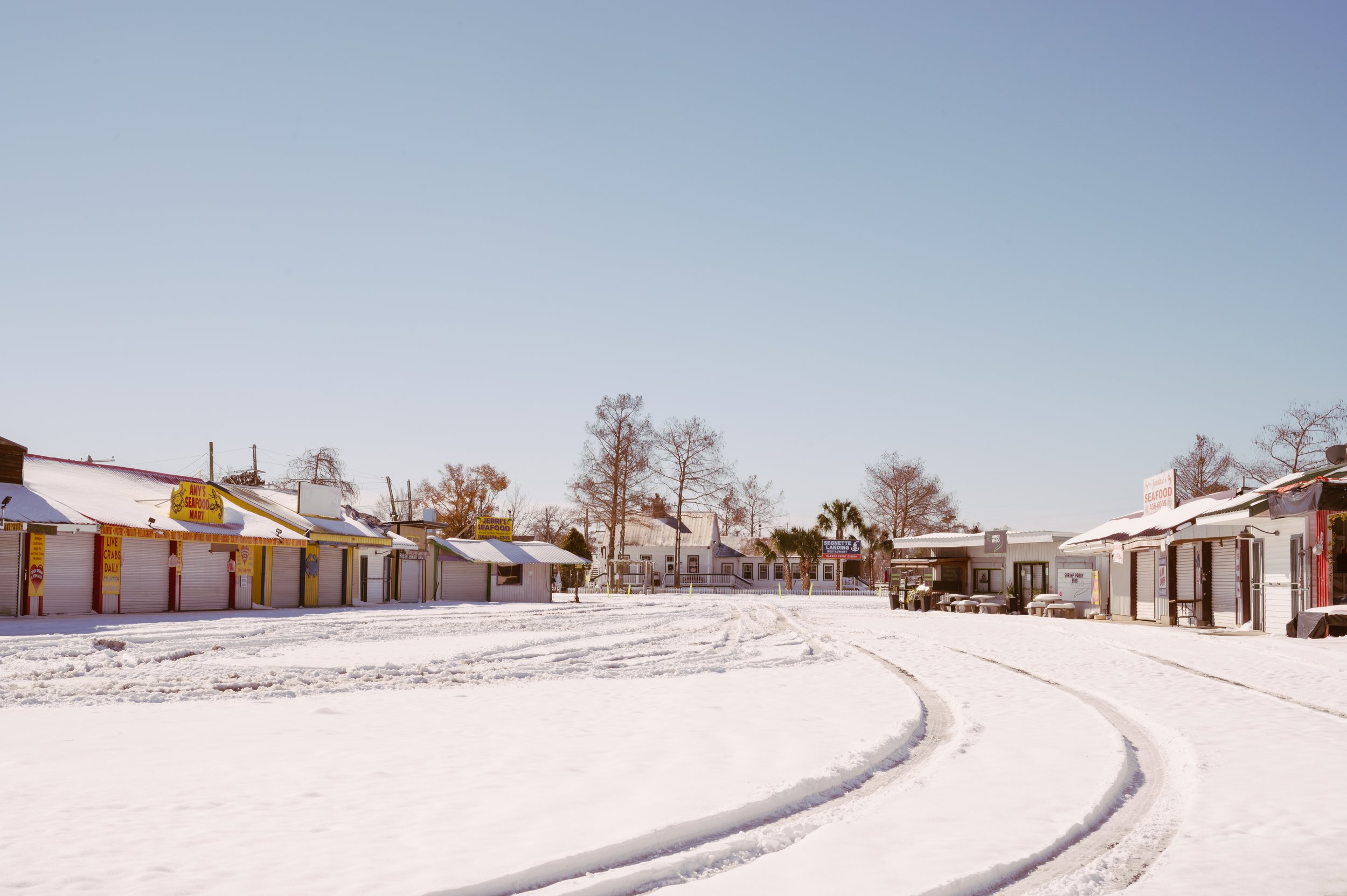 snowday1_22_25-22.jpg