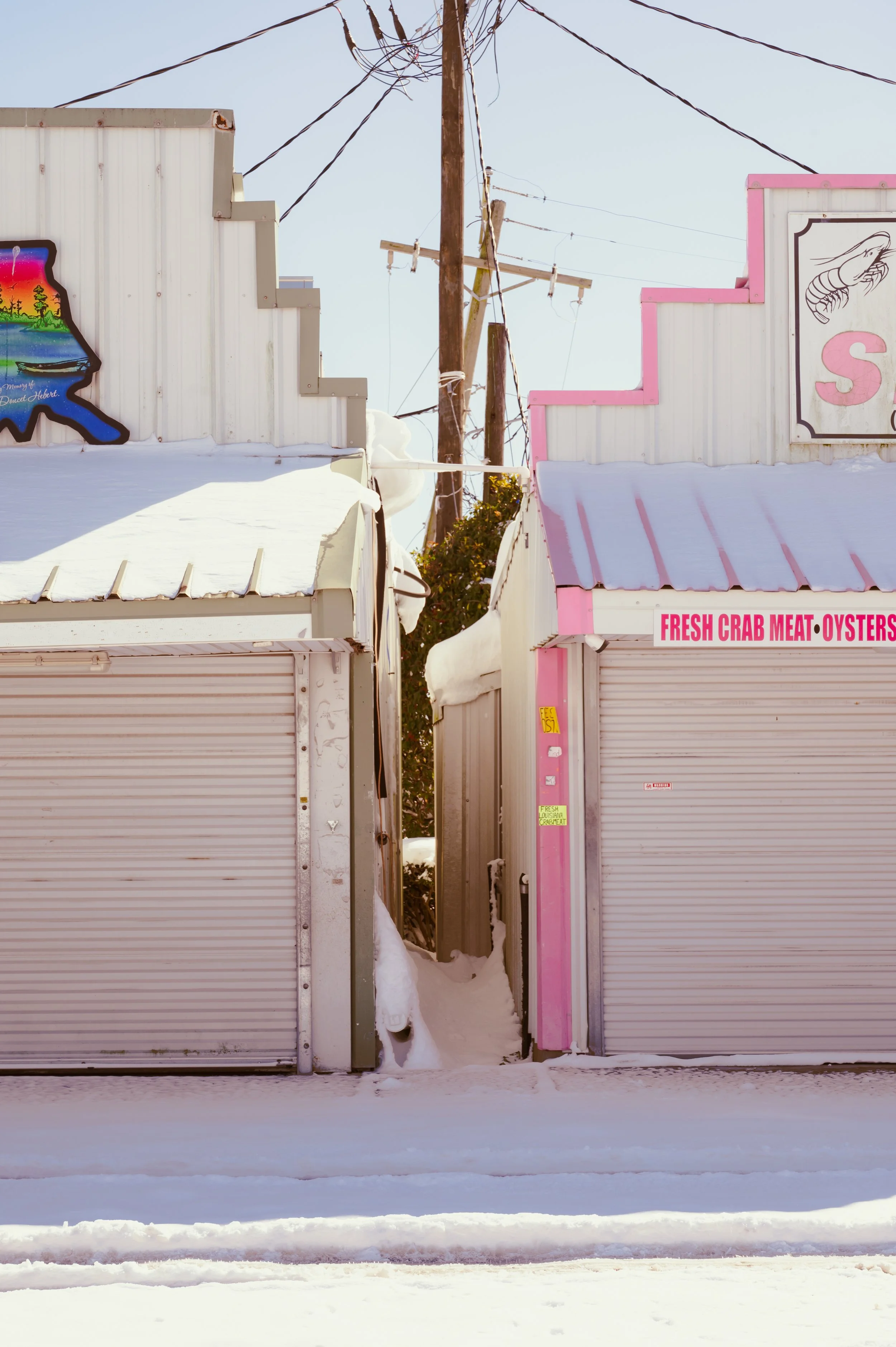 snowday1_22_25-25.jpg