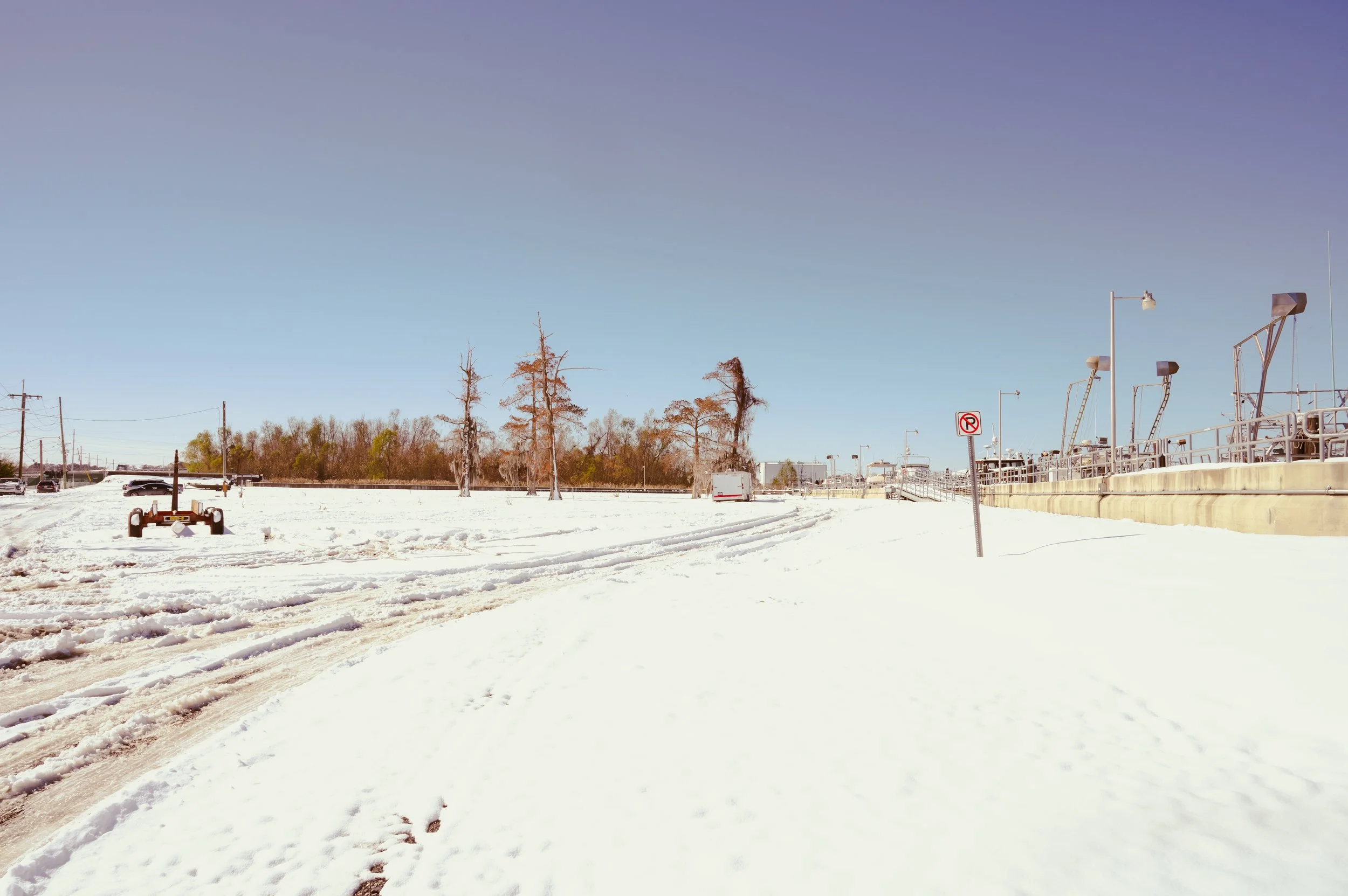 snowday1_22_25-30.jpg