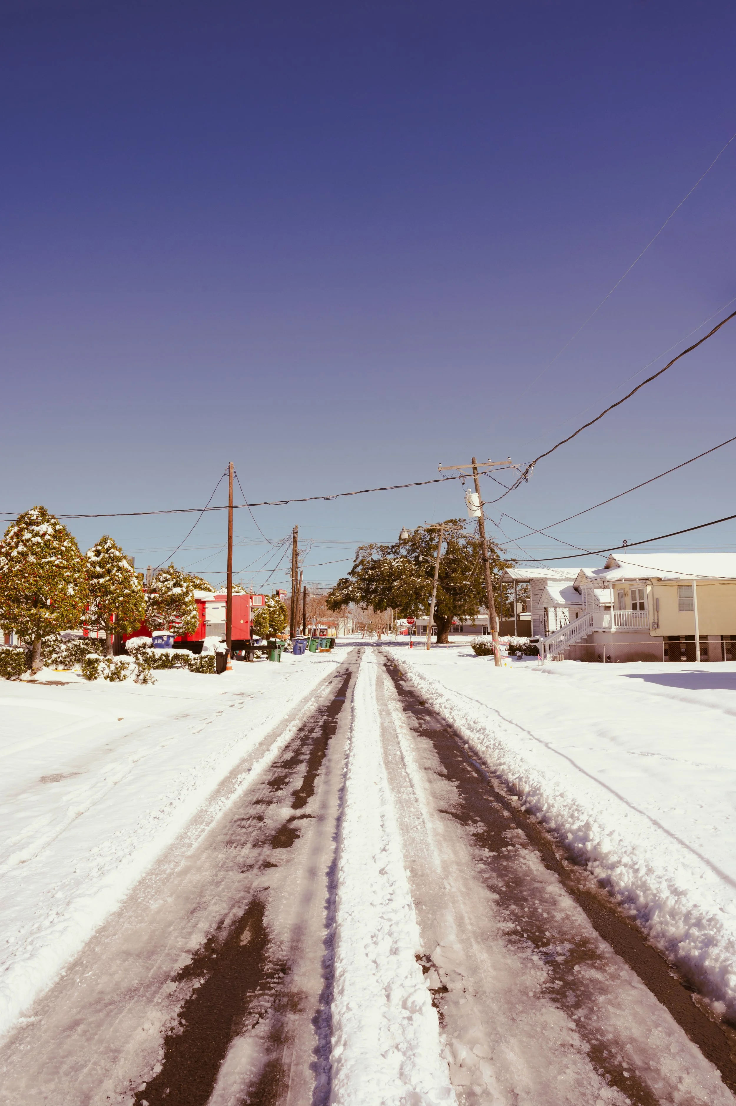 snowday1_22_25-31.jpg