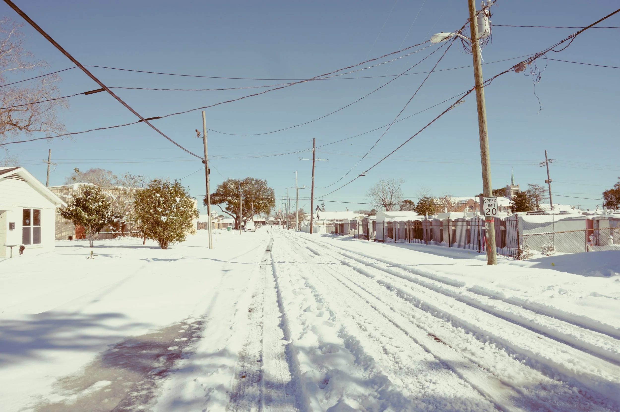 snowday1_22_25.jpg