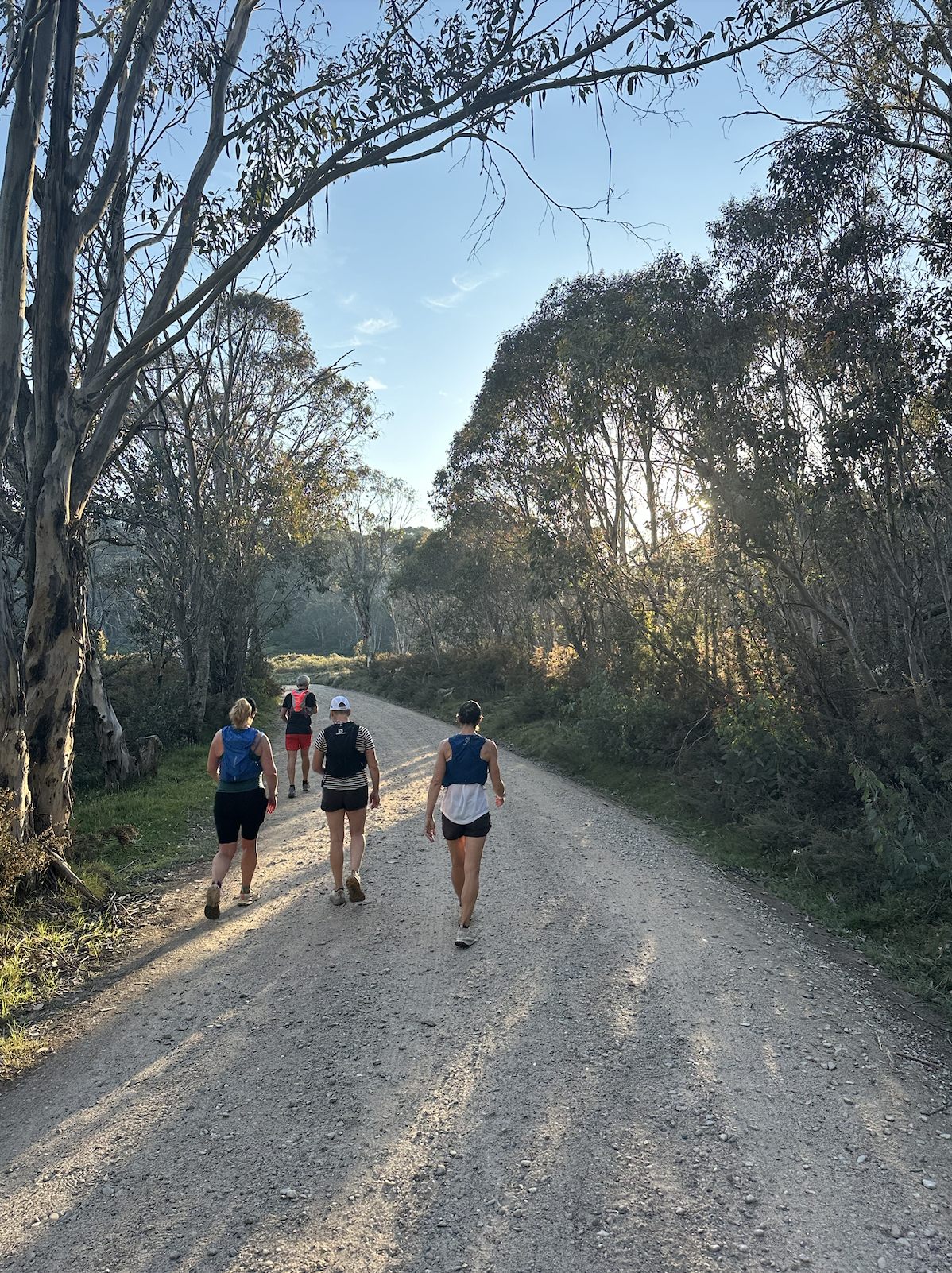 Screenshot 2026-01-29 at 2.37.03 PM.png