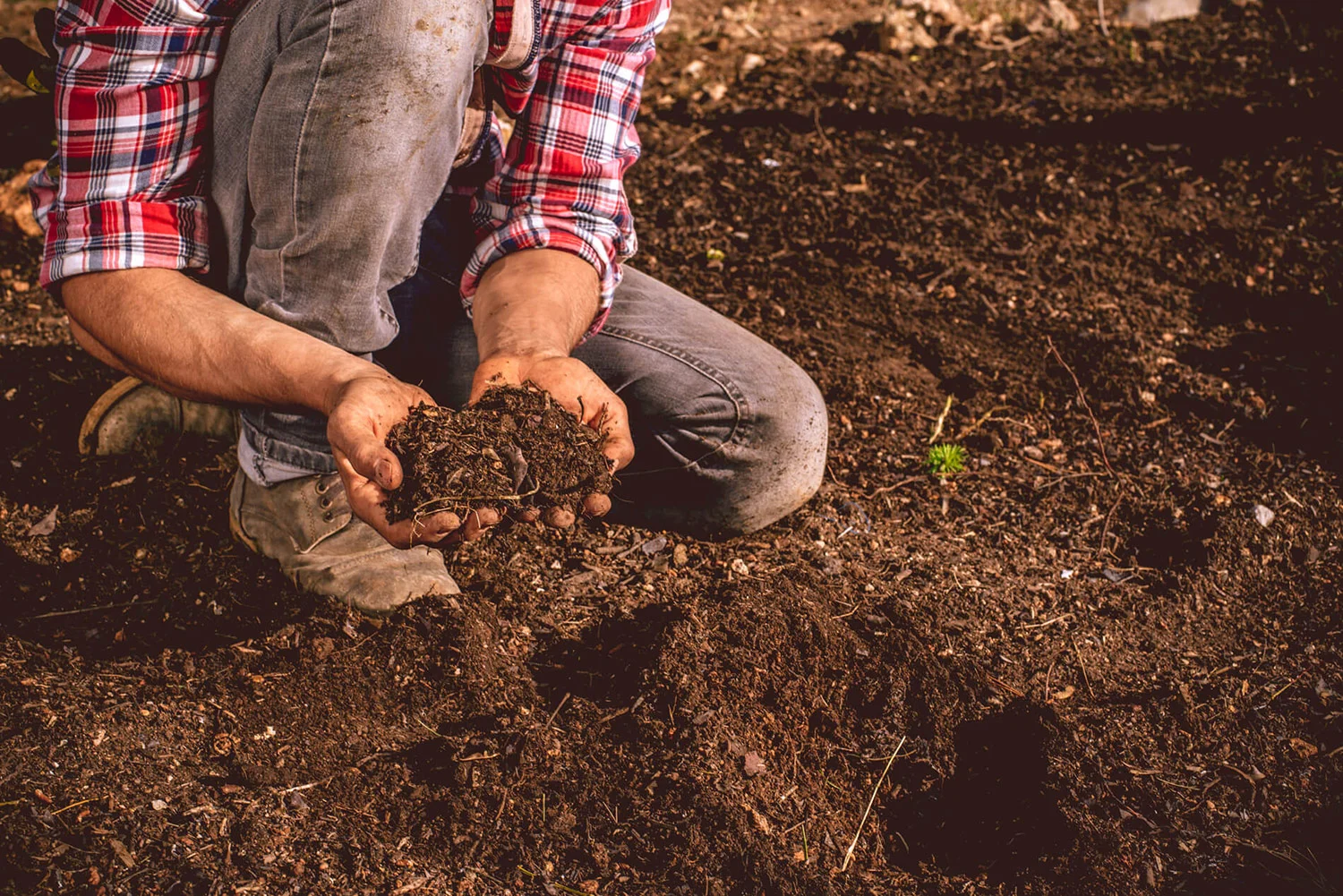 Why is bioremediation important?
