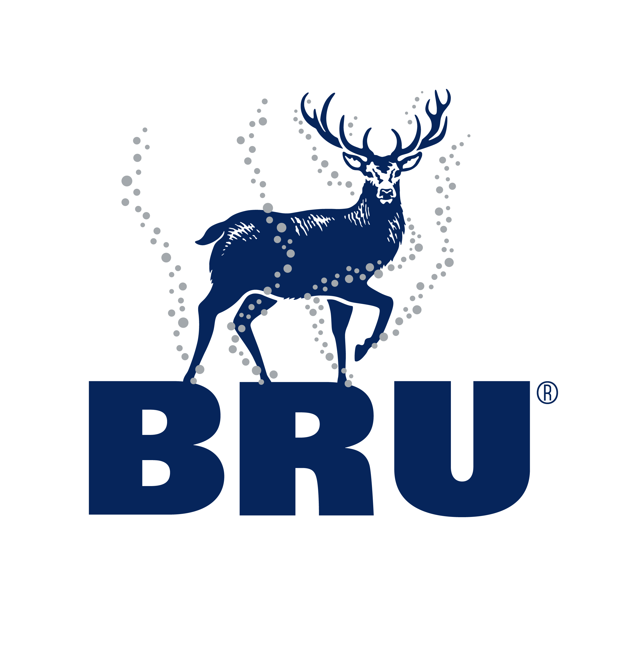 BRU Logo - kopie.png