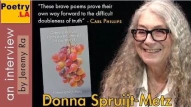 It was such a joy getting to interview this wondrous, poignant book of poems by my dear friend @donnasmetz - we usually talk for hours about nothing, so we showed some restraint here. @poetry.la

Link in bio.