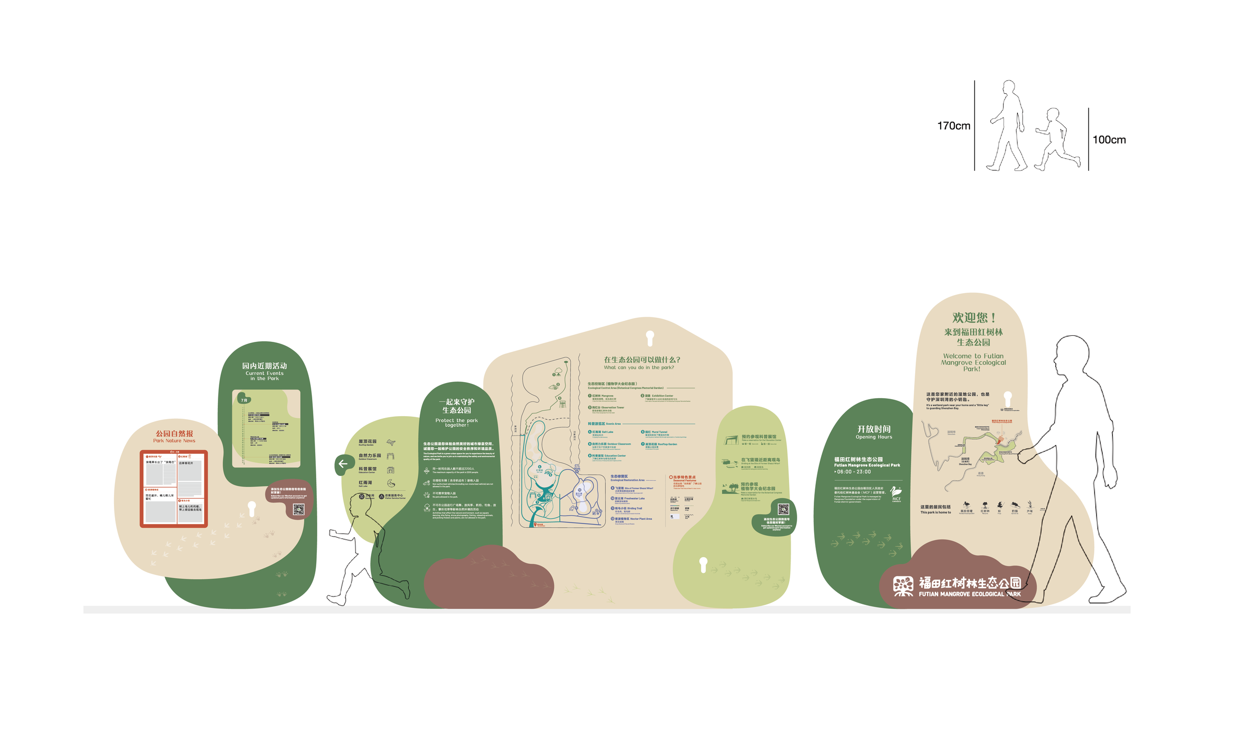 红树林案例 造点