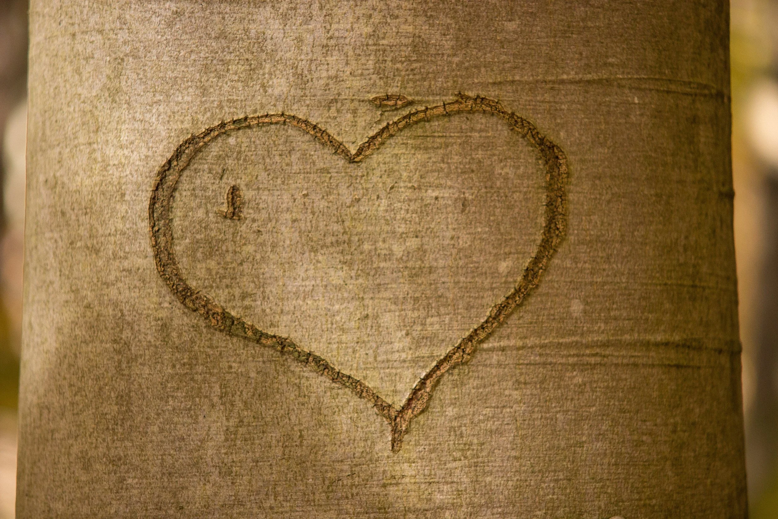 “Success in marriage does not come merely through finding the right mate, but through being the right mate.” Barnell.R.Brickner Speak to The Relationship Centre for advice on your relationship