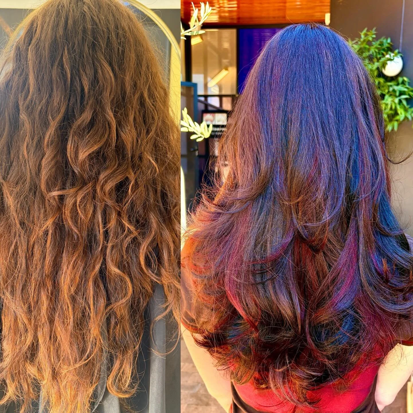 Loved doing this funky hair for our client @_jakaylabathie_ we used @pravana.australia @evolvehairconcepts @pravana we did a base colour of 6ntl 10vol for the roots as well as a veil though the part and alternating colour we then did diagonal pin whe