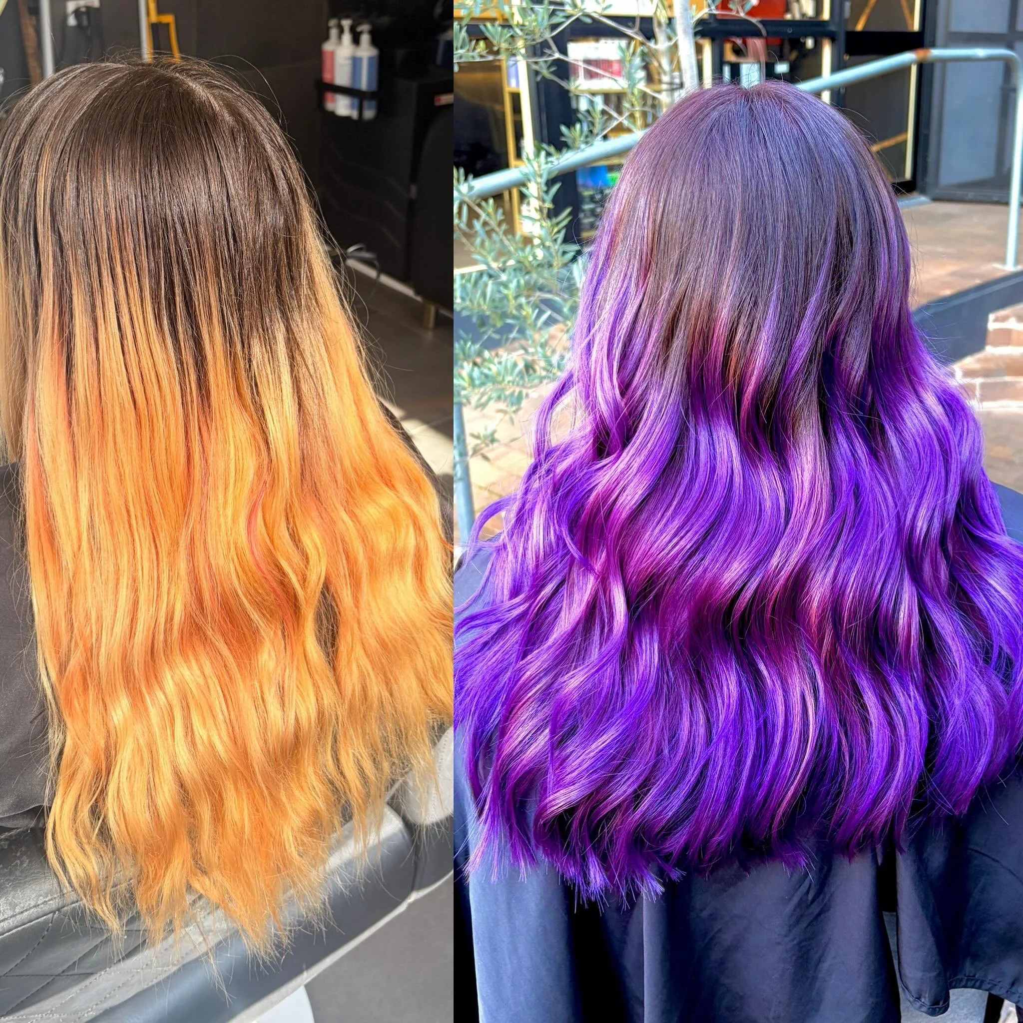 What a difference!! Grown out and yellow to stunning violet using our amazing colour range @pravana.australia @evolvehairconcepts @pravana we used 5.7 + 7.22 and a bit of violet reign and zero lift for the roots and violet vivids for the ends #canber
