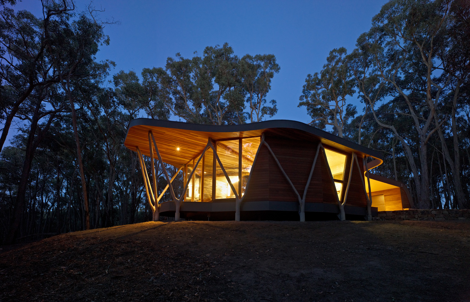 Paul Morgan Architects The Trunk House forest retreat Victoria’s Central Highlands exterior night