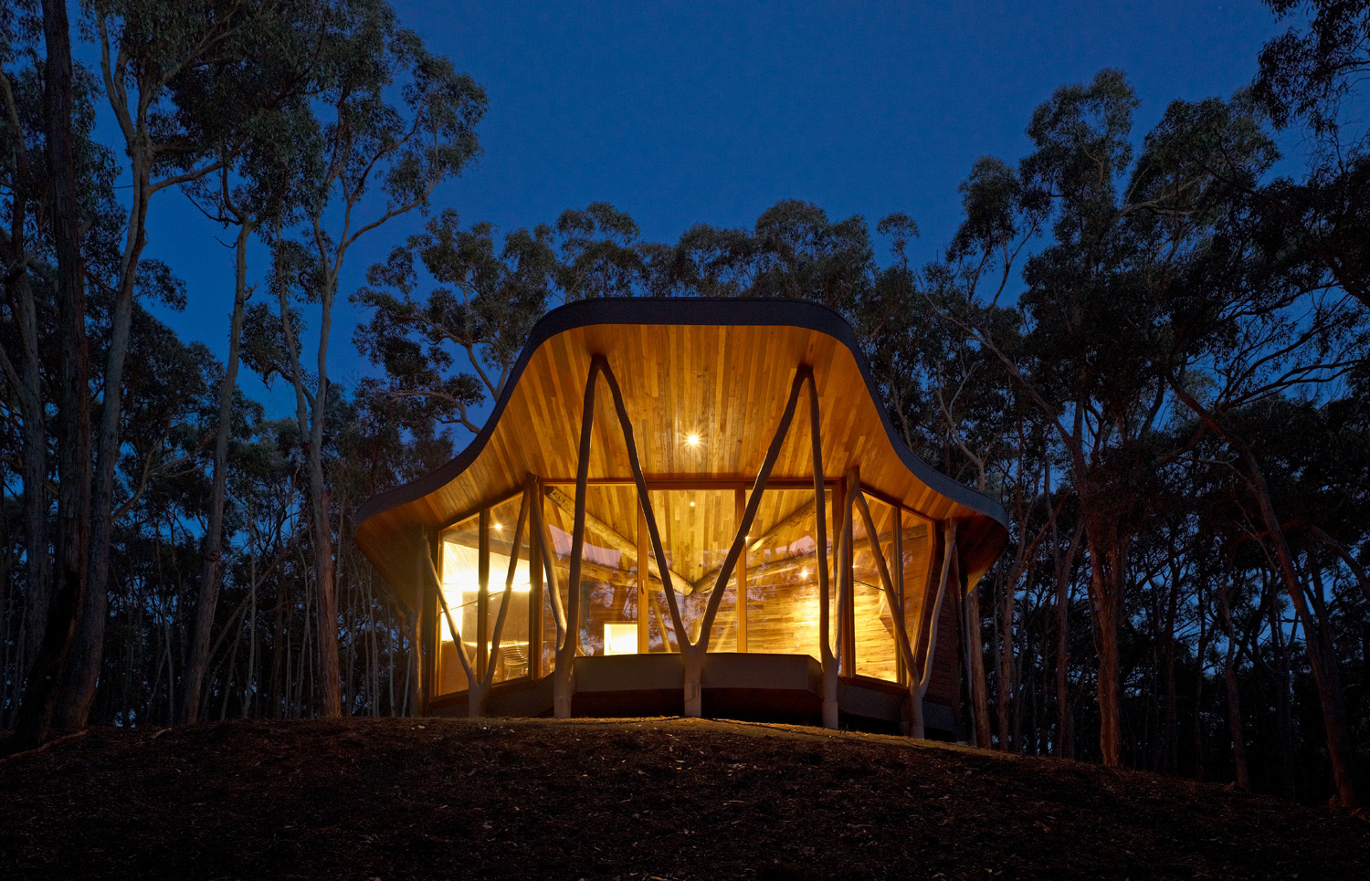 Paul Morgan Architects The Trunk House forest retreat Victoria’s Central Highlands exterior night