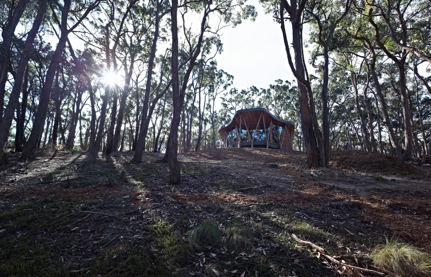 Paul Morgan Architects The Trunk House forest retreat Victoria’s Central Highlands exterior day