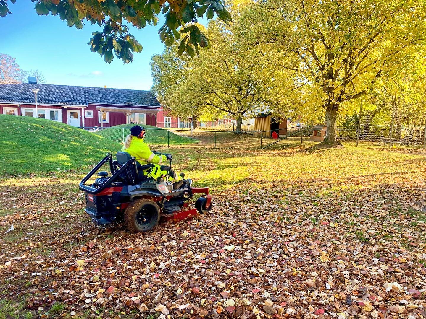 H&Ouml;STTIPS!🍂
Nu &auml;r h&ouml;sten h&auml;r och gr&auml;smattorna t&auml;cks av l&ouml;v. 
Ett alternativ &auml;r att r&auml;fsa bort dem. &Auml;r det mycket l&ouml;v som ligger som ett t&auml;cke kan de kv&auml;va gr&auml;smattan. De bortr&auml