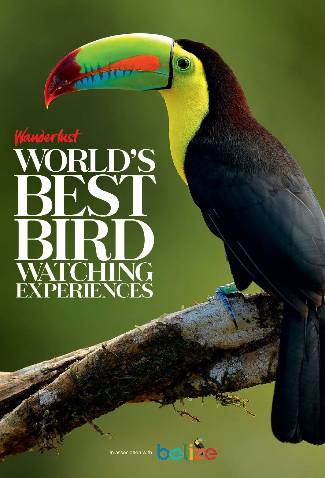 COVER_birdwatching_Belize.jpg