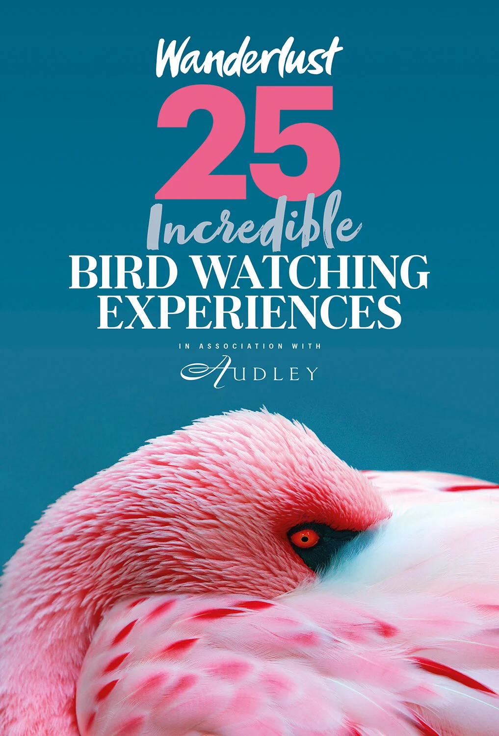 BirdwatchingSuppCover.jpg