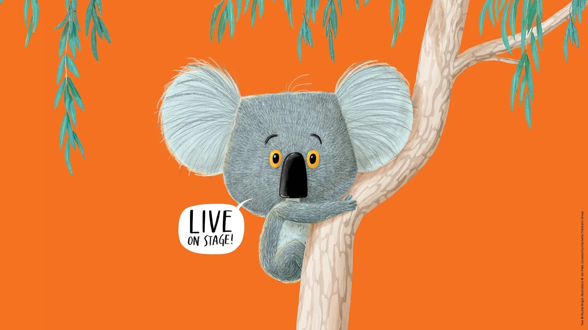 The-Koala-Who-Could-Social-1920x10802-1.jpeg