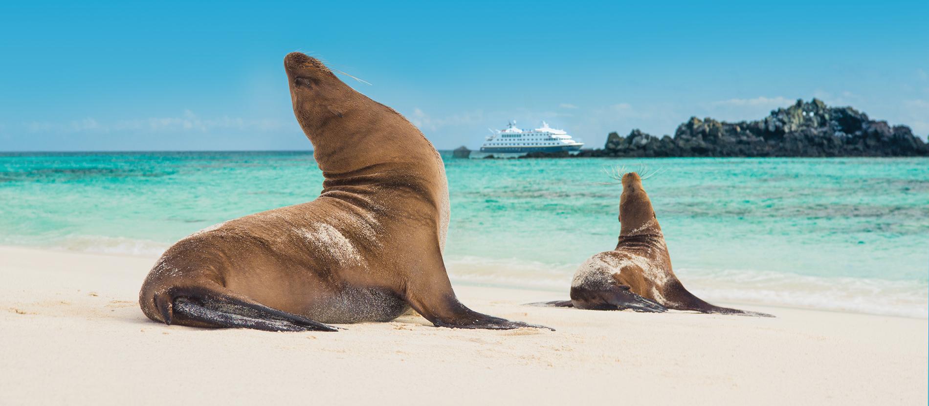 Explore the Galapagos islands