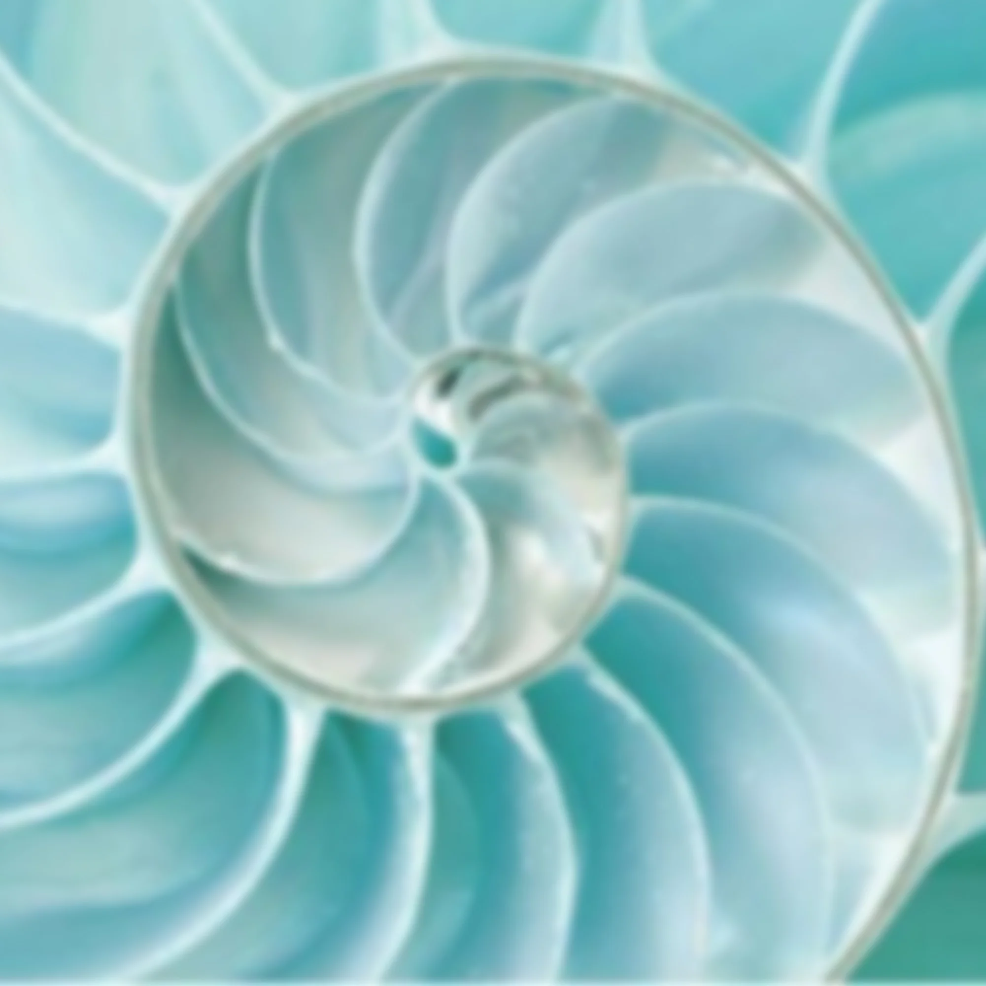 Feng Shui Consultations