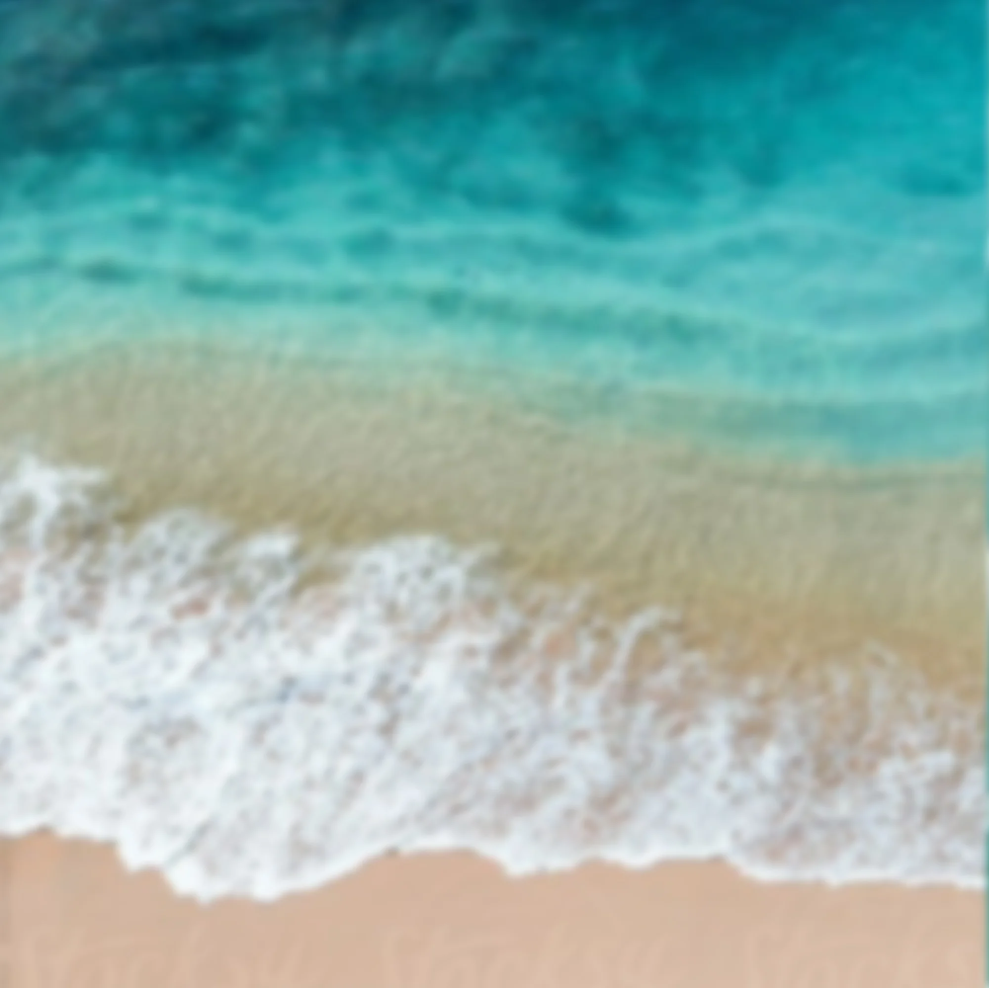 Step 2: Design Alchemy Interiors