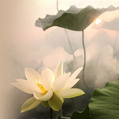 I want to elevate my life to the next level to have more peace, pleasure and fulfillment.