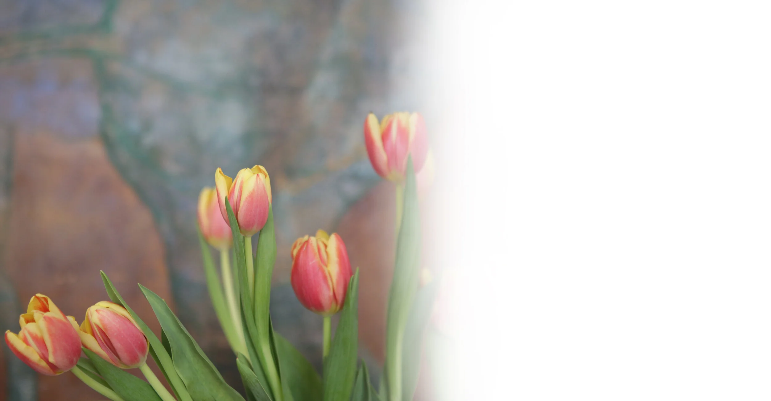 HOMEPAGE BANNER FILE.jpg