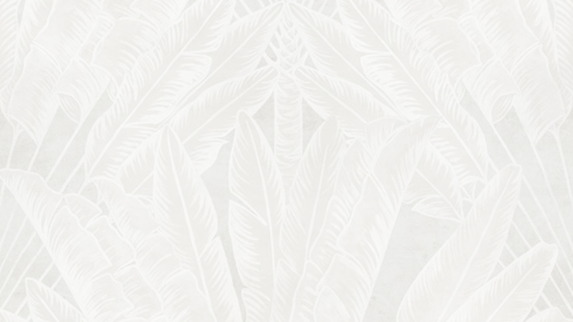 beautiful-green-aesthetic-plants-1920x1200-aesthetic-wallpapers-hd-pixelstalk.png