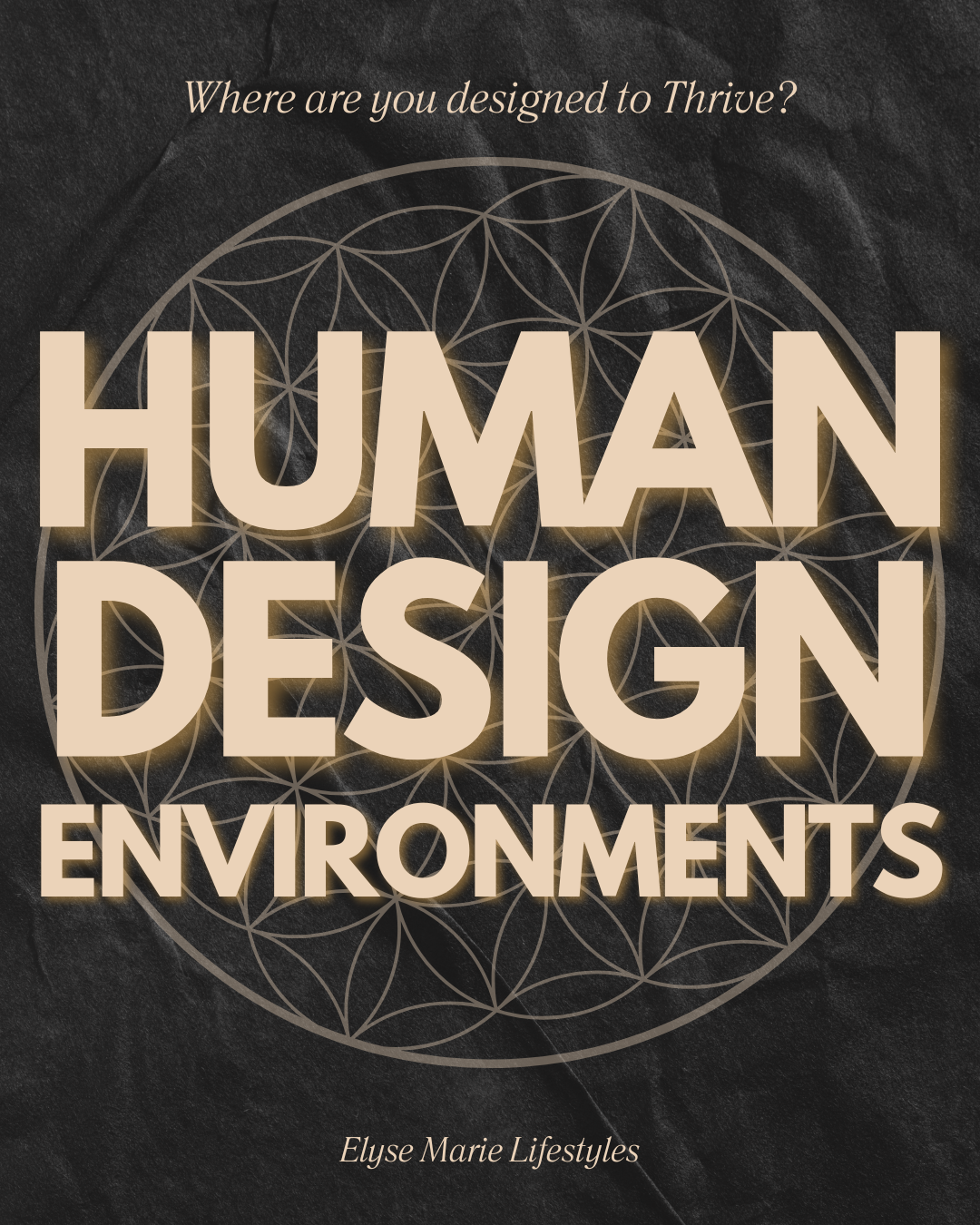 Your Environment: The Key to Unlocking Your Greatest Potential