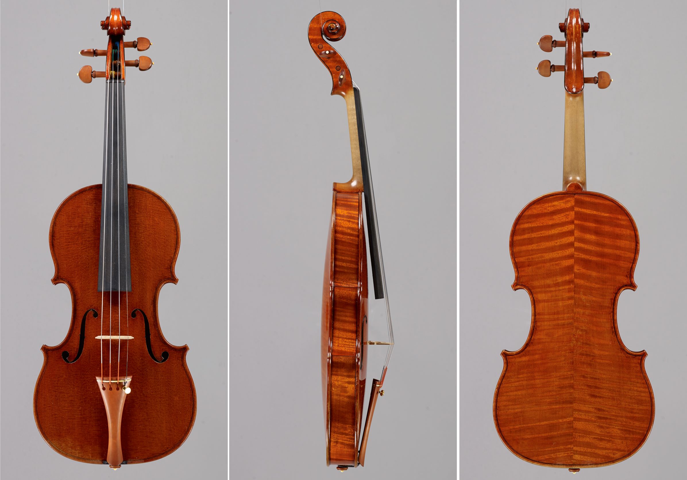 The Hill - 'Messiah' Stradivari Violin