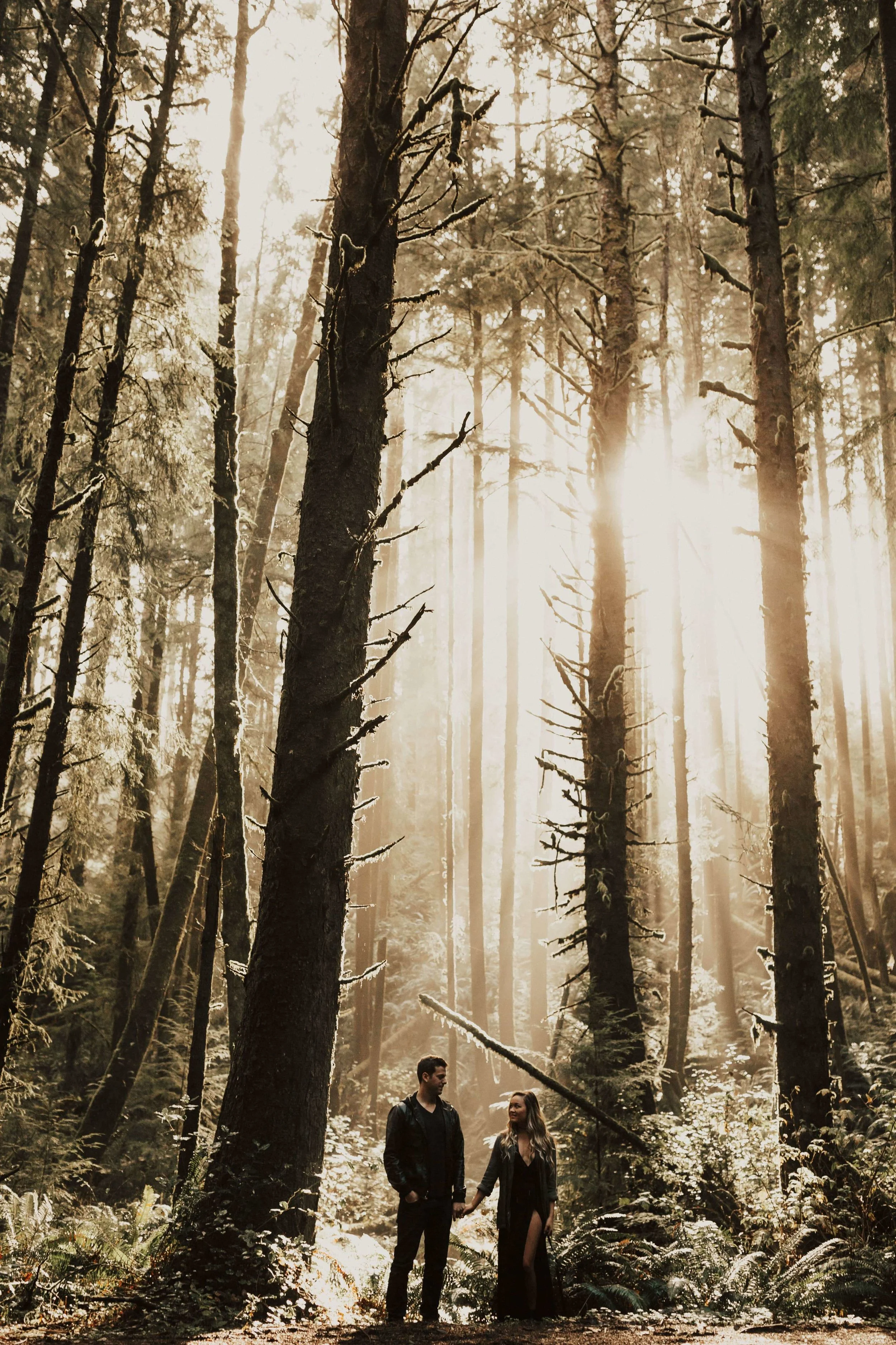 Waterfall Anniversary In the National Park