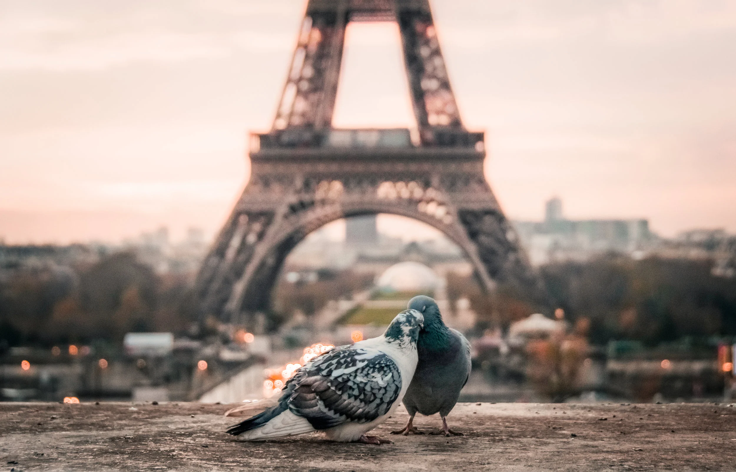 Francia