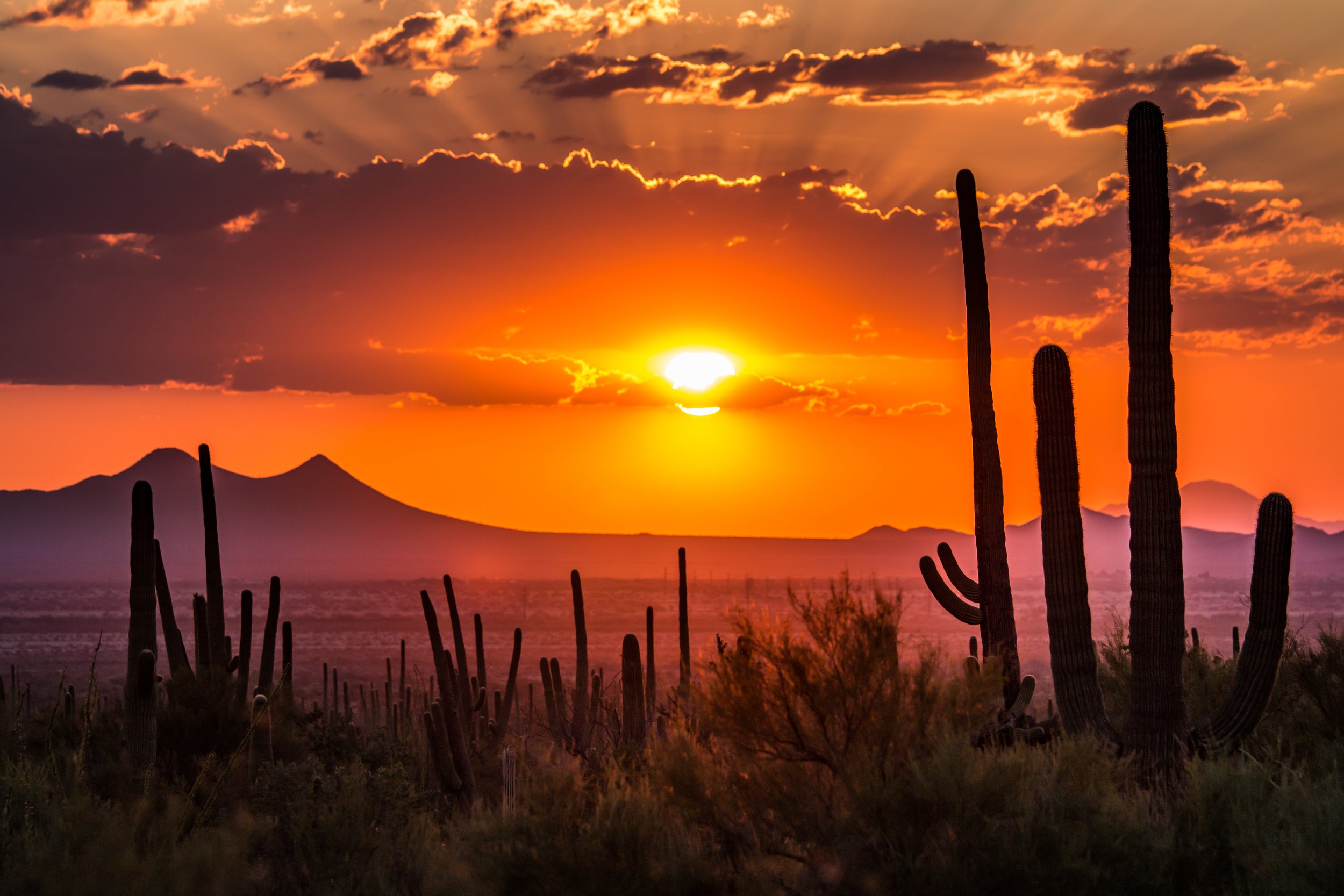 Mattel tendrá su parque temático en Arizona 