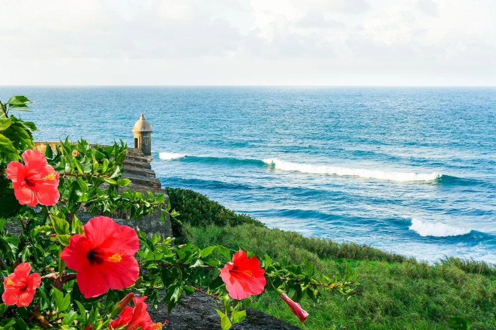 Guía de lo que debes hacer en Puerto Rico, el destino #1 en la lista de Lonely Planet 