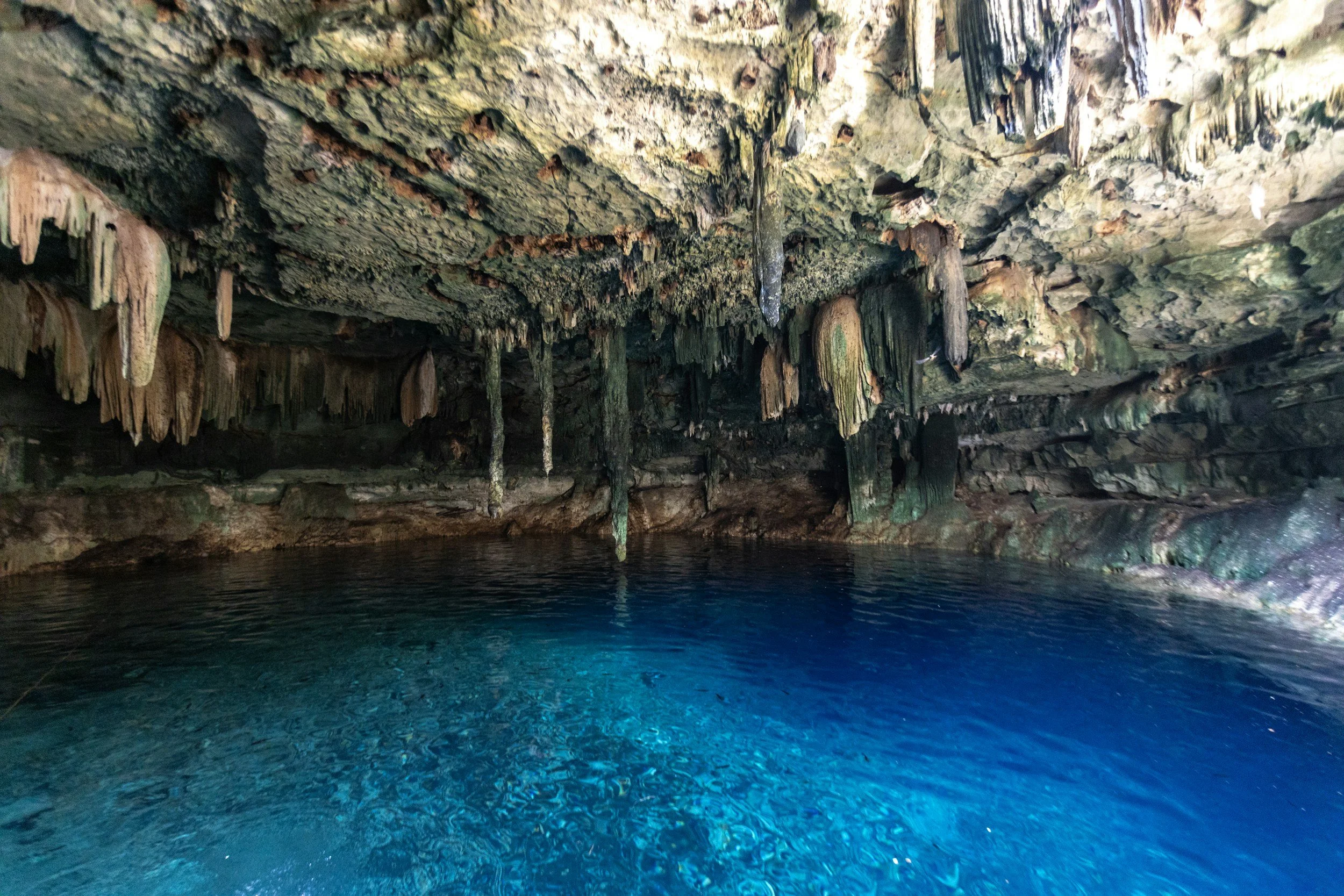 Estos son los cenotes a los que debes ir al menos una vez
