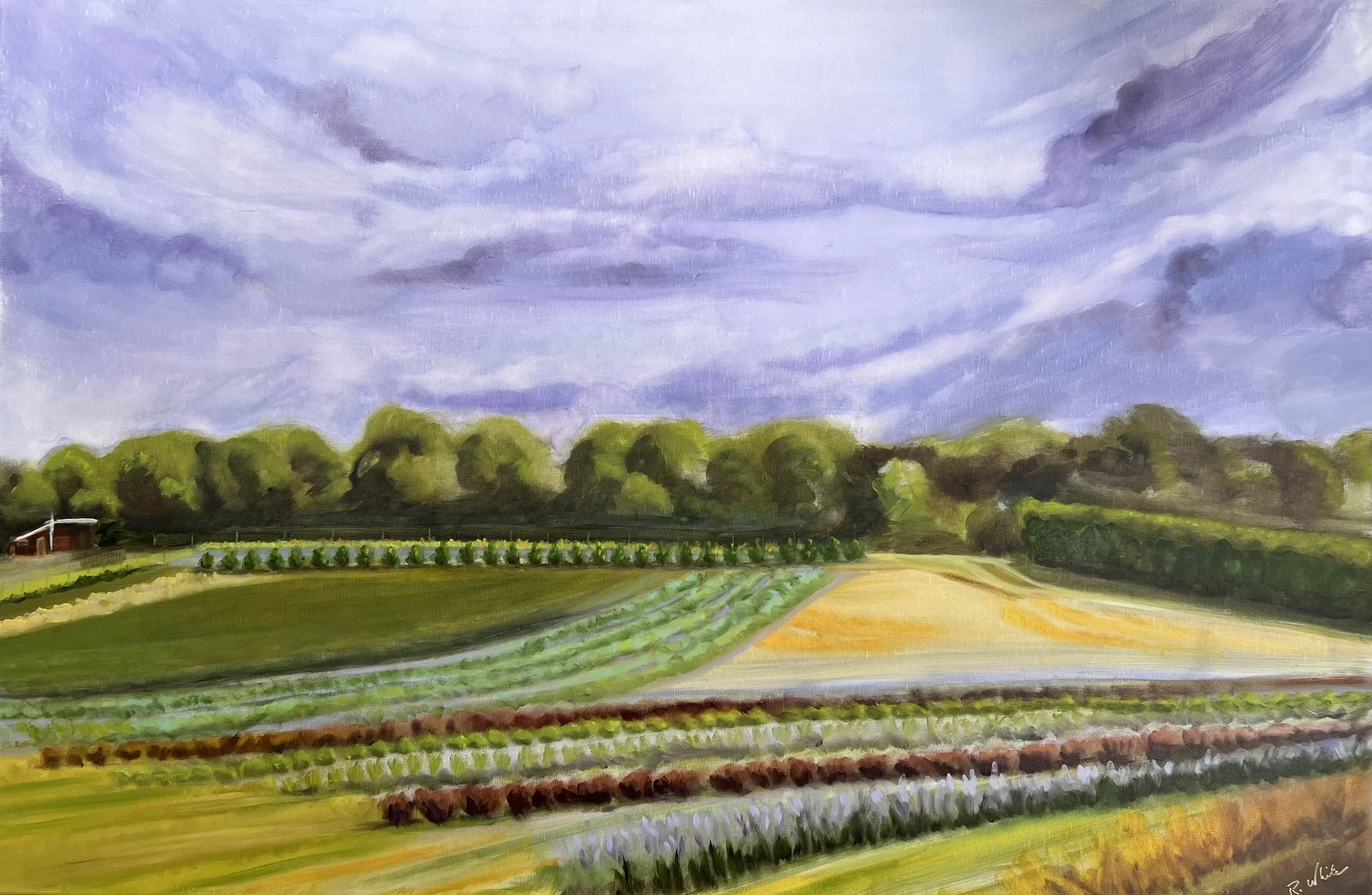 "Noon at the Farm" (36'W x 24"H) Oil on Canvas