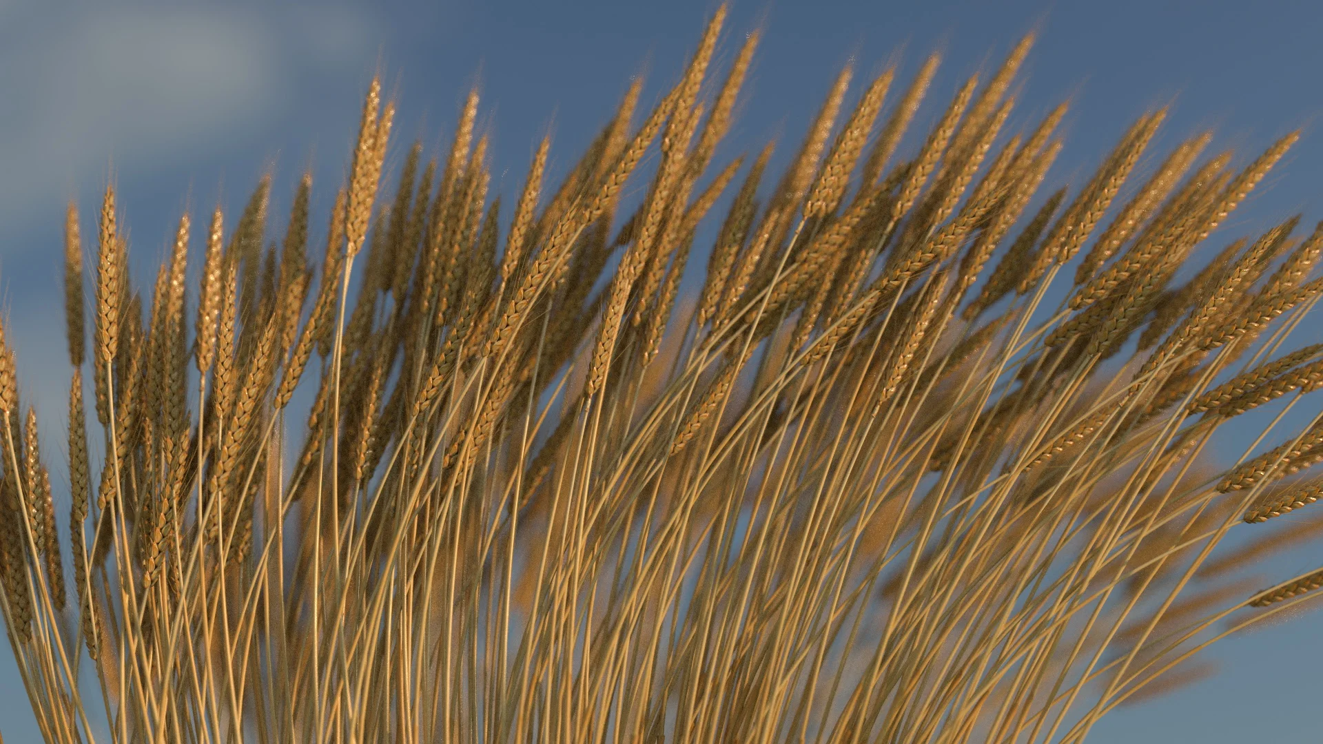 portfolio renders Linked Comp 01 (0-07-05-08).jpg