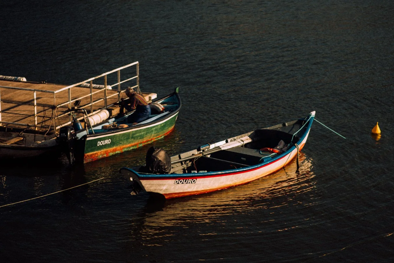 Fisherman, Artisanal Fishing, Calixto, Sea Bass, Robalo, Sável, Local Culture