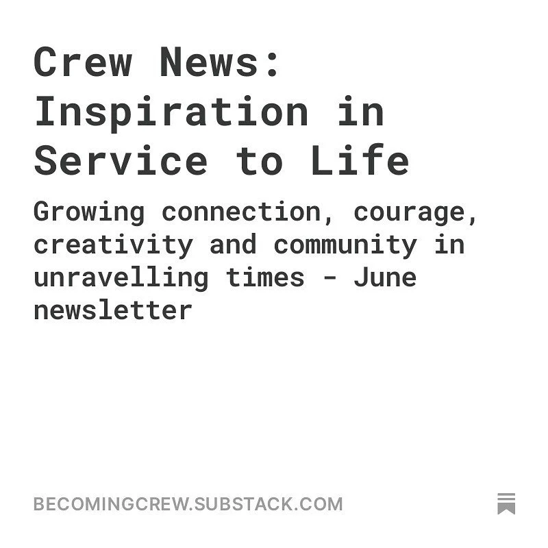 June (late) Newsletter via our Substack (link in bio)

a collection of updates, offerings, curations and invitations 

Includes:

RetroFit Reimagined Film from the mighty @civic_square 

Crack Flowers - short stories from @minou_chillings 

Tickets f