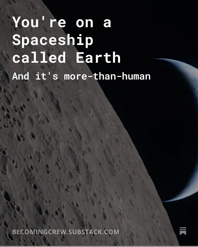&lsquo;It takes astronauts in space to see our Spaceship Earth clearly and remind us of this vaster, complex, mysterious and unknowable reality.

But for the rest of us who cannot travel into space, how to find the Spaceship in this time of profound 