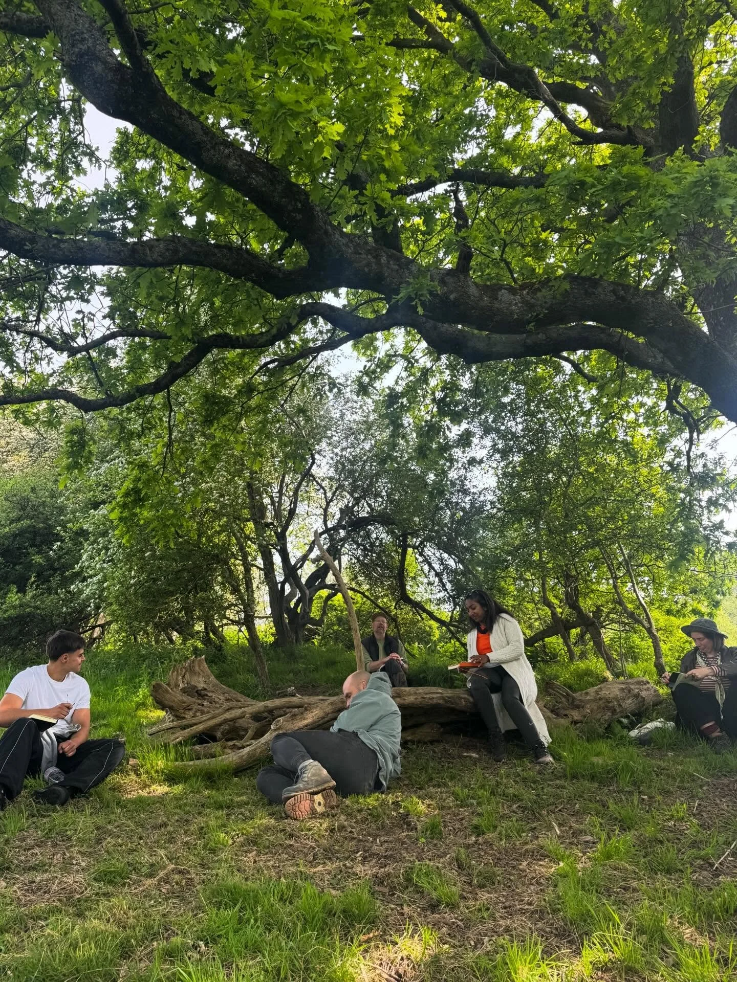 Landing back gently after a stunning Community Solo last weekend at Ghostwood Down
 A beautiful crew spanning 21 to 54 years answered the call and two days of intergenerational exploration with the more than human world.

We made space for connection