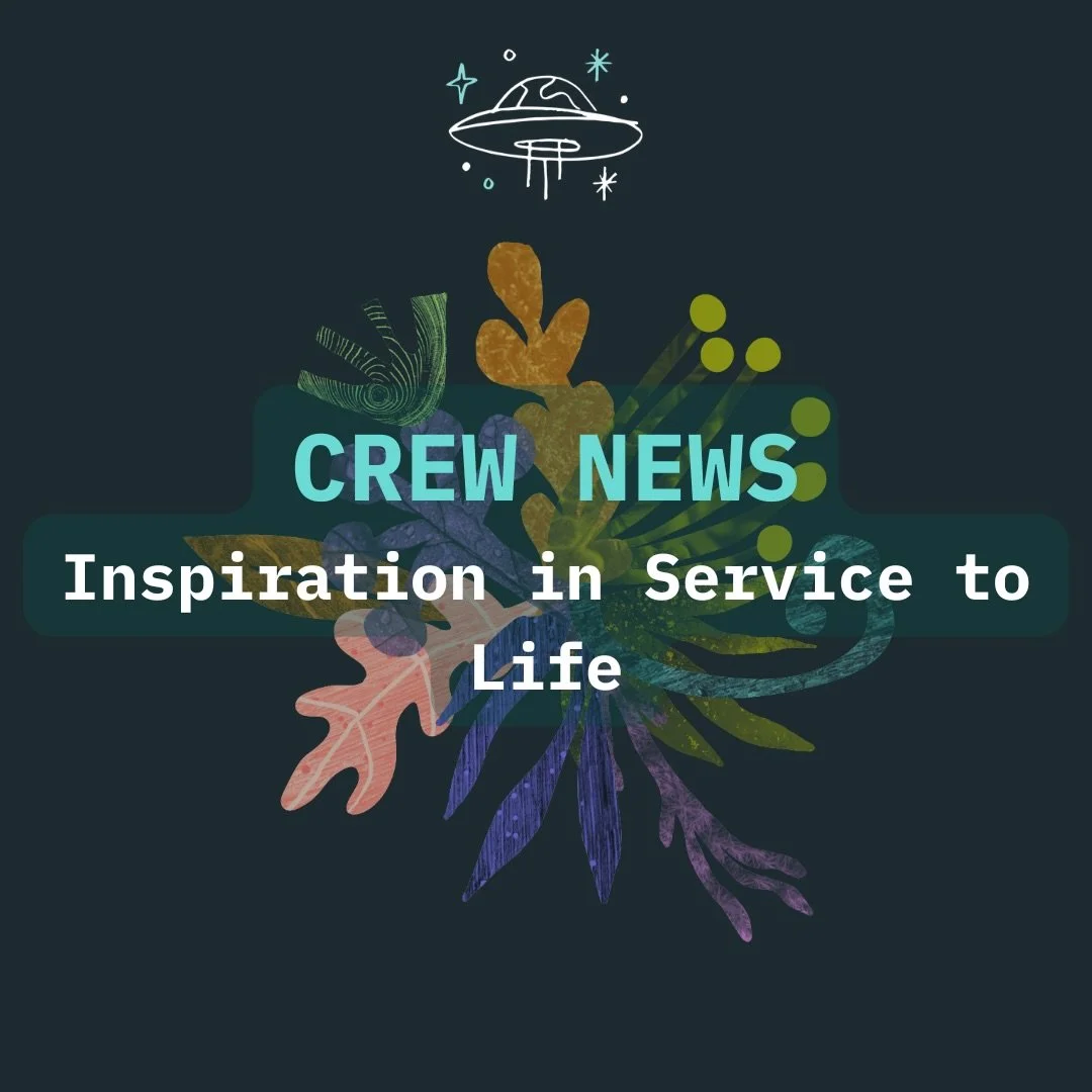 Crew News is our irregular substack newsletter

It&rsquo;s post-capitalist 

It happens when it happens

When it&rsquo;s ready

June has just birthed.

We call it Inspiration in service to life

Curating things about growing connection, creativity an