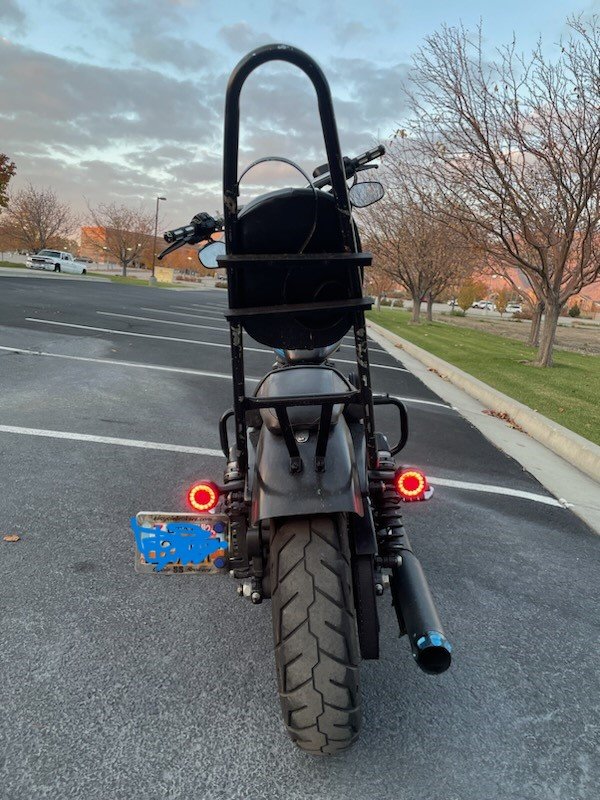 2019 Harley Back.jpg