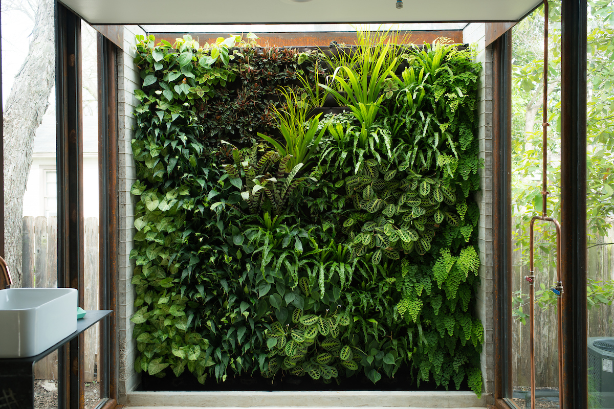 Shower_Living_Wall.jpg